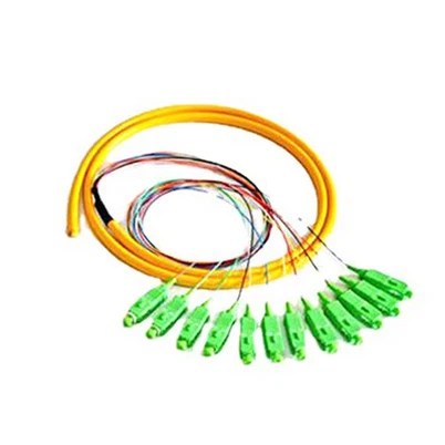12- Core SC / APC FC / APC SingleMode Sarciniford Pig-tail