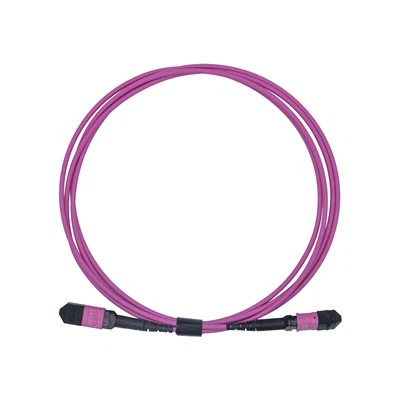 Cordon de brassage MPO à fibre optique multimode à noyau LSZH OM4 12-de 3 m